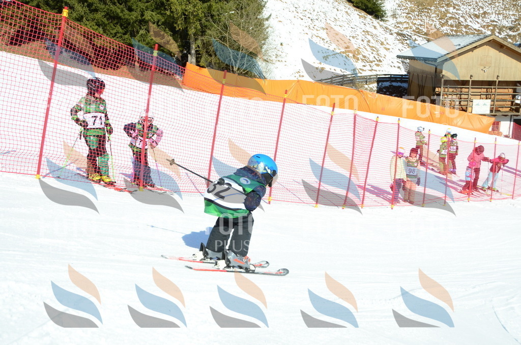 C4920 | holidayphoto