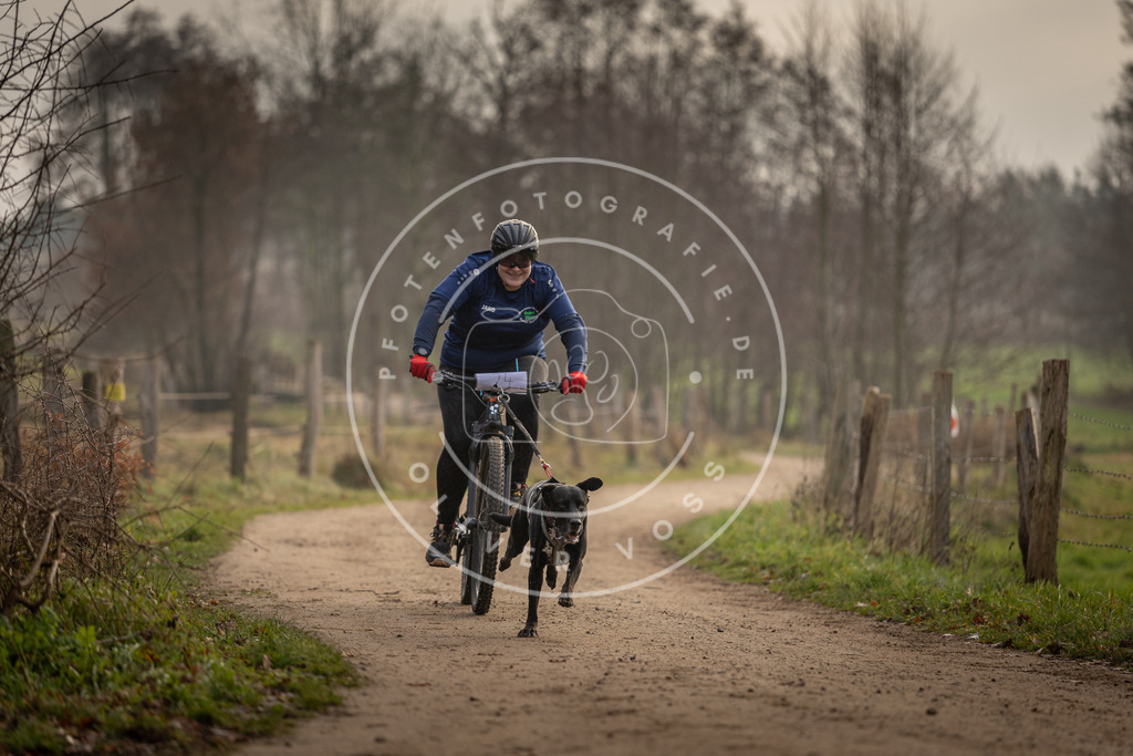 Pfotenfotografie_DV3A2020 | Hundefotografie, Tierfotograf, Pfotenfotografie, Fotoshooting Hund, Hunde Portrait, Hundesport, Hundeportraits, Heideshooting, Hunde, Sportfotograf, Hundefotograf, Turnierhundsport, THS,  - Realisiert mit Pictrs.com