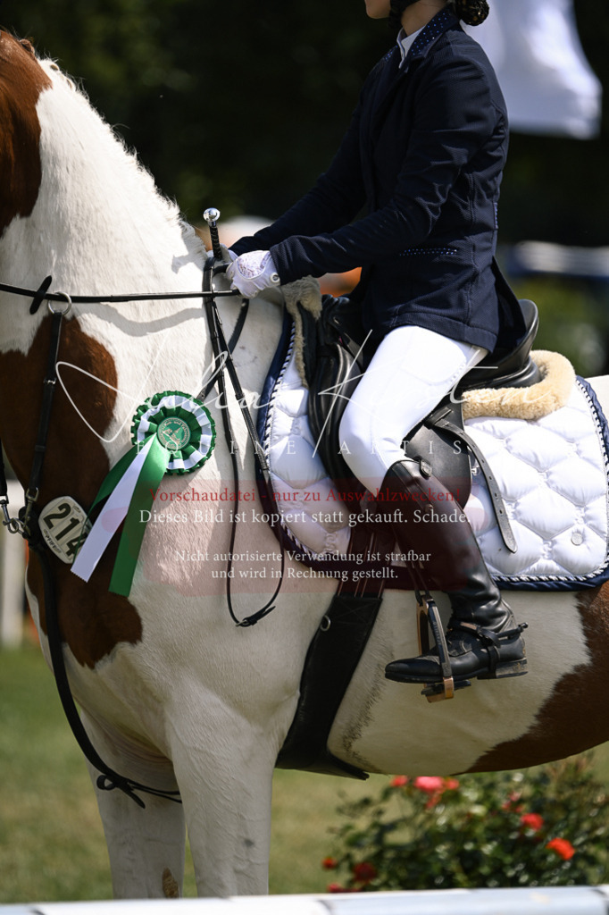DSC_9195 | Pferde- und Turnierfotografie in Westsachsen. Pferdeportraits, Auftragszeichnungen und intuitive Kunst.