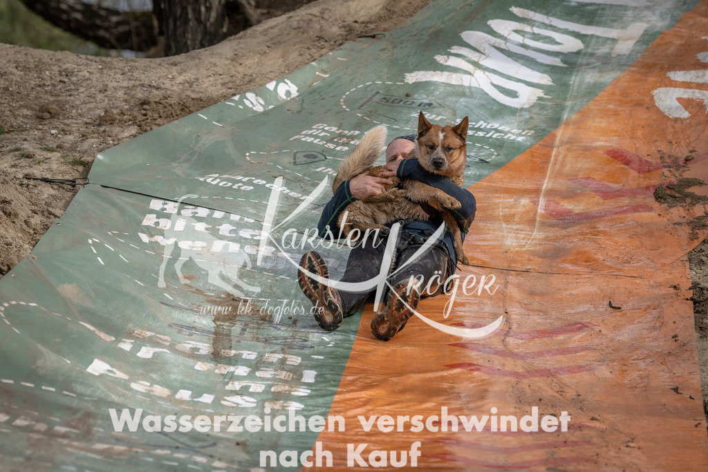 1041DSC_6983 | kk-dogfotos