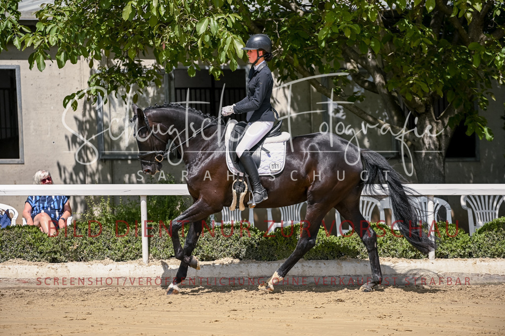 Schugtsche-Aluta25-48.Reitpferfdeprf.-220 | Schugtsche Fotografie - Realisiert mit Pictrs.com