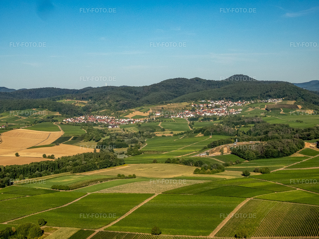 Luftbild: Weinberge westlich der Winzerdörfer im Ortsteil Gleiszellen in Gleiszellen-Gleishorbach im Bundesland Rheinland-Pfalz in Deutschland. Foto: P8080024.jpg vom 08.08.2022 durch Werner Riehm/FLY-FOTO.de