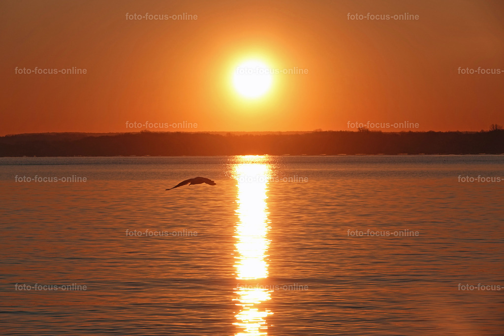Daybreak over the Baltic Sea | foto-focus-online