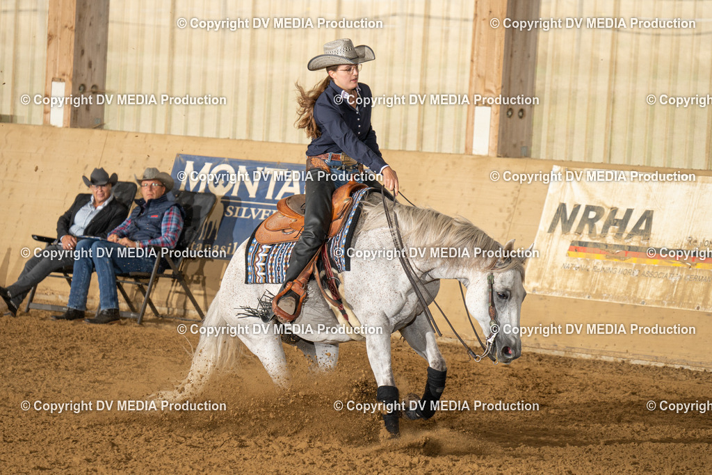 LAU01387 | dv-media-shop - Realisiert mit Pictrs.com