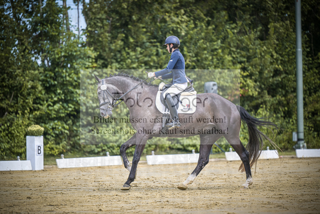 DOS_2160 | Entdecke hochwertige Reitturnierfotos von Foto Oger. Professionell, emotional und authentisch – jetzt Lieblingsmomente im Shop bestellen.Deutschlandweite Turnierfotografie. - Realisiert mit Pictrs.com