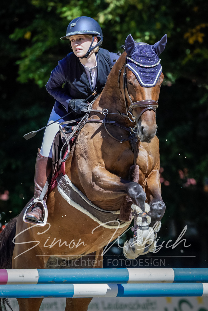 20250906-_3LI4158 | Tierfotografie Pferde, Hunde, Katzen, Haustiere.
Turnierfotografie Reitturniere, Reiten, Springreiten, Dressur in Hanau, dem Main-Kinzig-Kreis und dem Rhein-Main- Gebiet um Frankfurt