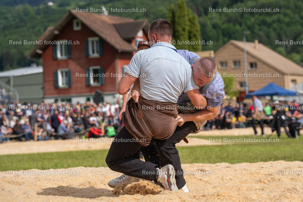 BUR07433 | René Burch leidenschaftlicher Fotograf aus Kerns in Obwalden.  Hier finden sie Sport, Landschaft und Natur Fotografie.
 - Realisiert mit Pictrs.com