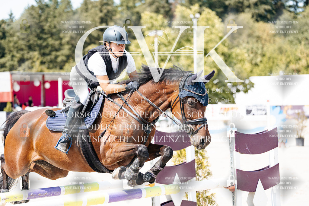 CK901255 | Turnierfotografie Pferdefotografie Trier Rheinland-Pfalz Pferdesport Reitsport Tierfotografie Sportfotografie Pferdevideo Pferdevideografie Equestrianvideography equestrianphotography  - Realisiert mit Pictrs.com