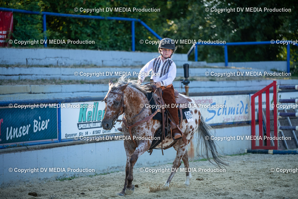 EWP_7238 | dv-media-shop - Realisiert mit Pictrs.com