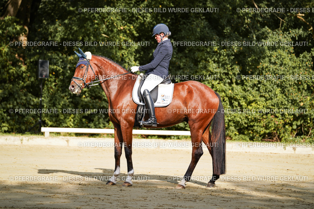 DSC07676 | Pferdegrafie