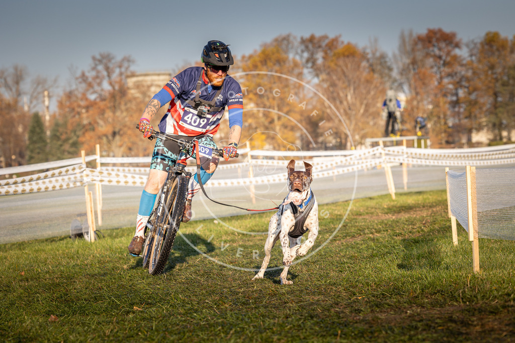 CaniXpix_0L8A4046 | Hundefotografie, Tierfotograf, Pfotenfotografie, Fotoshooting Hund, Hunde Portrait, Hundesport, Hundeportraits, Heideshooting, Hunde, Sportfotograf, Hundefotograf, Turnierhundsport, THS,  - Realisiert mit Pictrs.com
