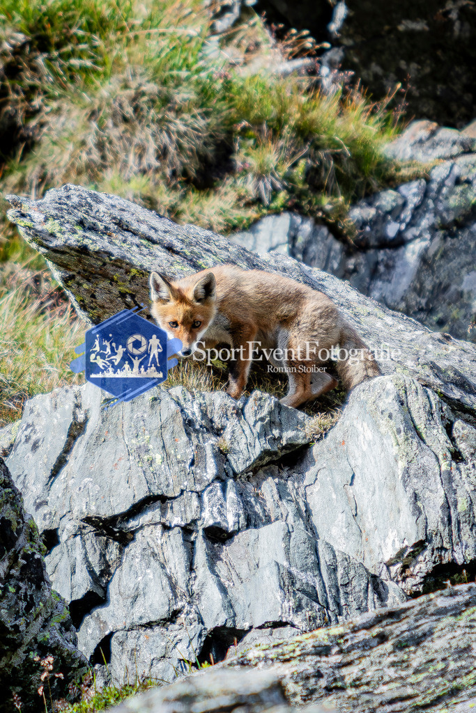 IMAG1157 | SportEventFotografie - Roman Stoiber