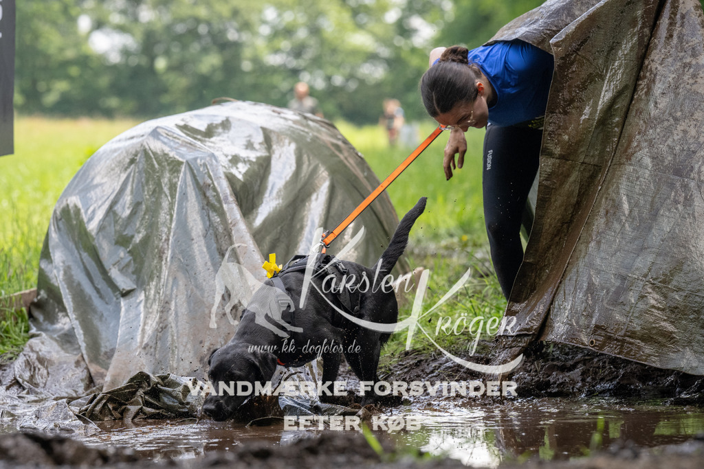 1148_ZZ94574 | kk-dogfotos