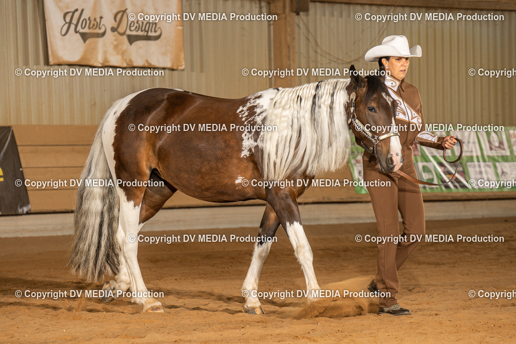 NID02443 | dv-media-shop - Realisiert mit Pictrs.com