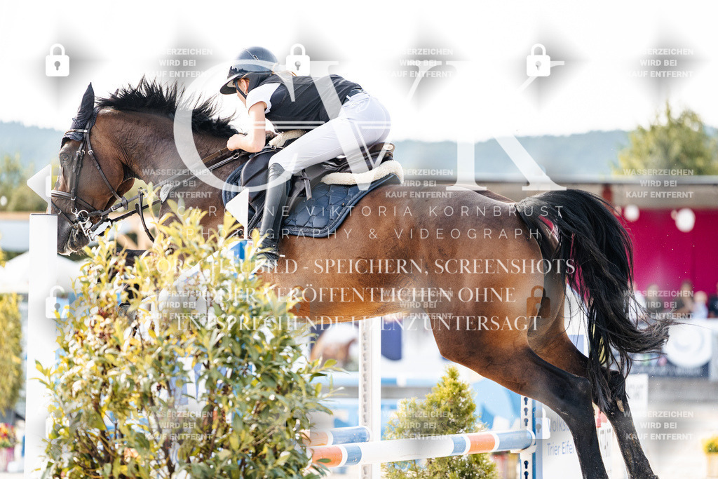 CK906205 | Turnierfotografie Pferdefotografie Trier Rheinland-Pfalz Pferdesport Reitsport Tierfotografie Sportfotografie Pferdevideo Pferdevideografie Equestrianvideography equestrianphotography  - Realisiert mit Pictrs.com