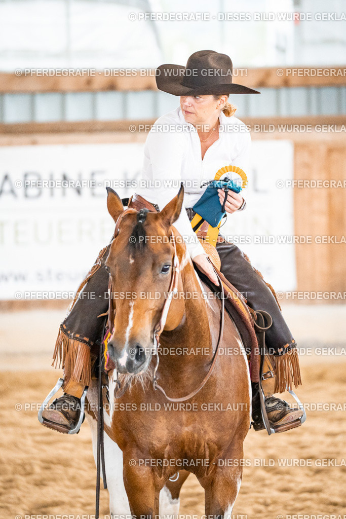 DSC01168 | Pferdegrafie