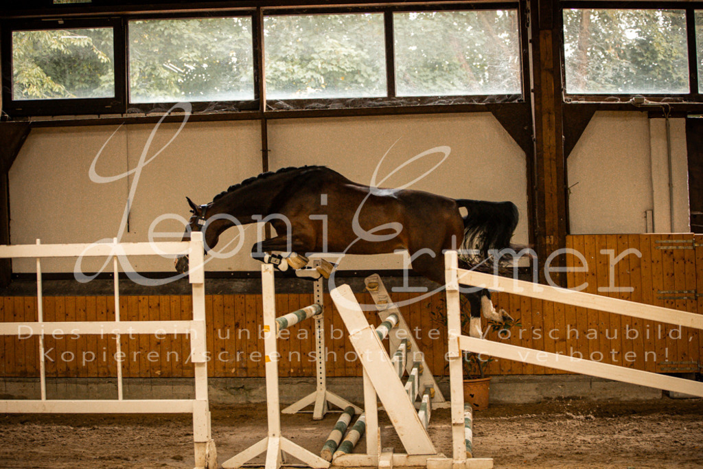 2FS_L00108 | Leoni Ertmer Photography - Realisiert mit Pictrs.com