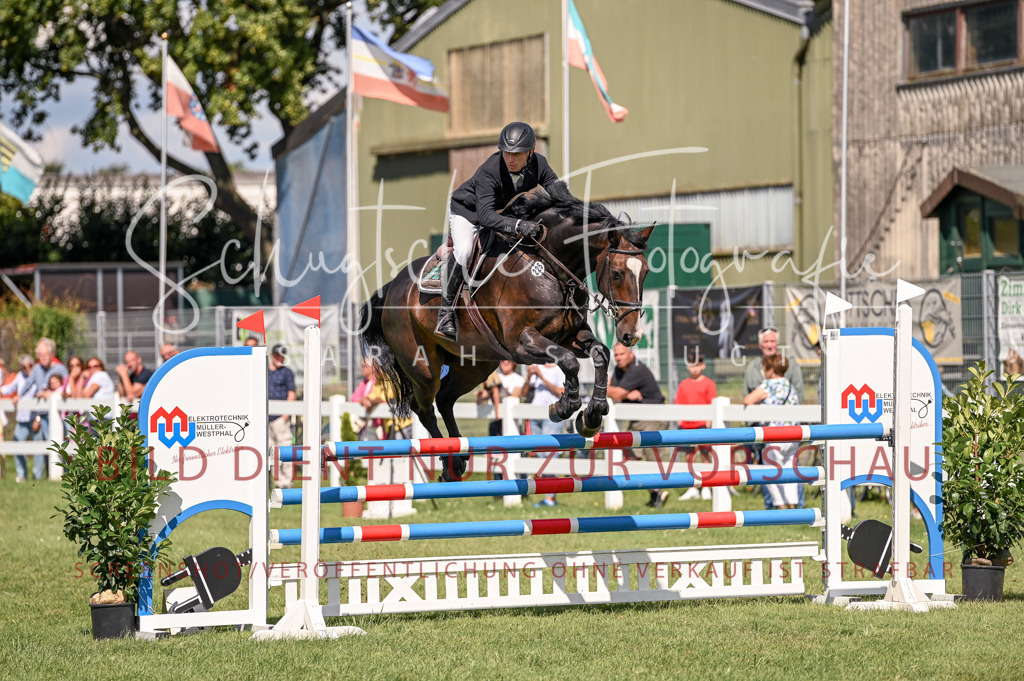 Schugtsche-Düren.2024-09.Springprf.L-147 | Schugtsche Fotografie - Realisiert mit Pictrs.com