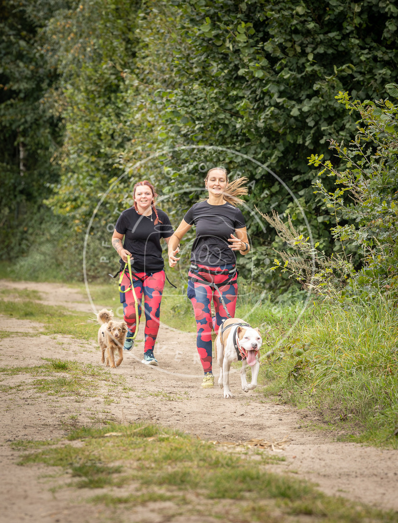 Pfotenfotografie_DV3A7285 | Hundefotografie, Tierfotograf, Pfotenfotografie, Fotoshooting Hund, Hunde Portrait, Hundesport, Hundeportraits, Heideshooting, Hunde, Sportfotograf, Hundefotograf, Turnierhundsport, THS,  - Realisiert mit Pictrs.com