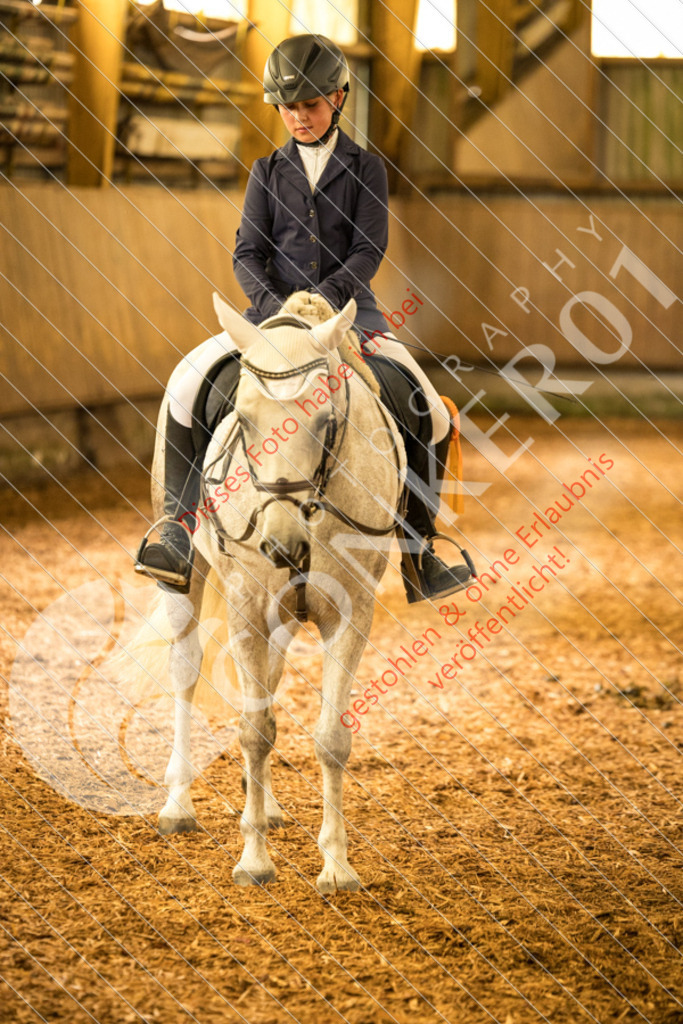 CON_5410 | Sport-, Event- und Tierfotos in Profiqualität. Einfach auswählen, bestellen und herunterladen. Dein Moment – perfekt festgehalten.