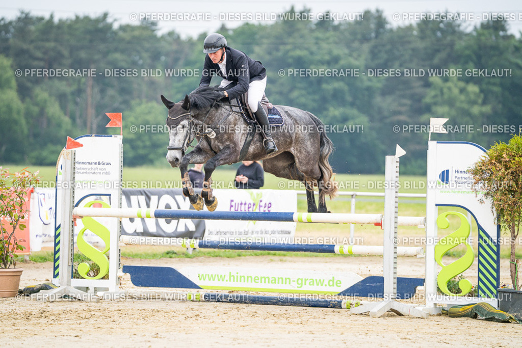 DSC09984 | Pferdegrafie