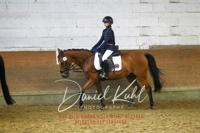 DKP44477 | Turniersportfotografie; Pferdefotografie; Dressurfotografie