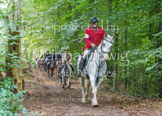 Jagd Perdoel_MarinaHewigMCH04721 | Fotografie, FotoArt, PferdesportArt, Pferdesportfotografie, Landschaftsfotografie, Reisefotografie, Reise, Pferde - Realisiert mit Pictrs.com