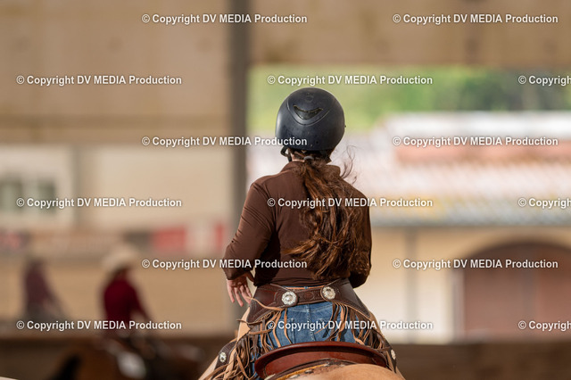 LM Heiligenwald Tag 3-630 | dv-media-shop - Realized with Pictrs.com