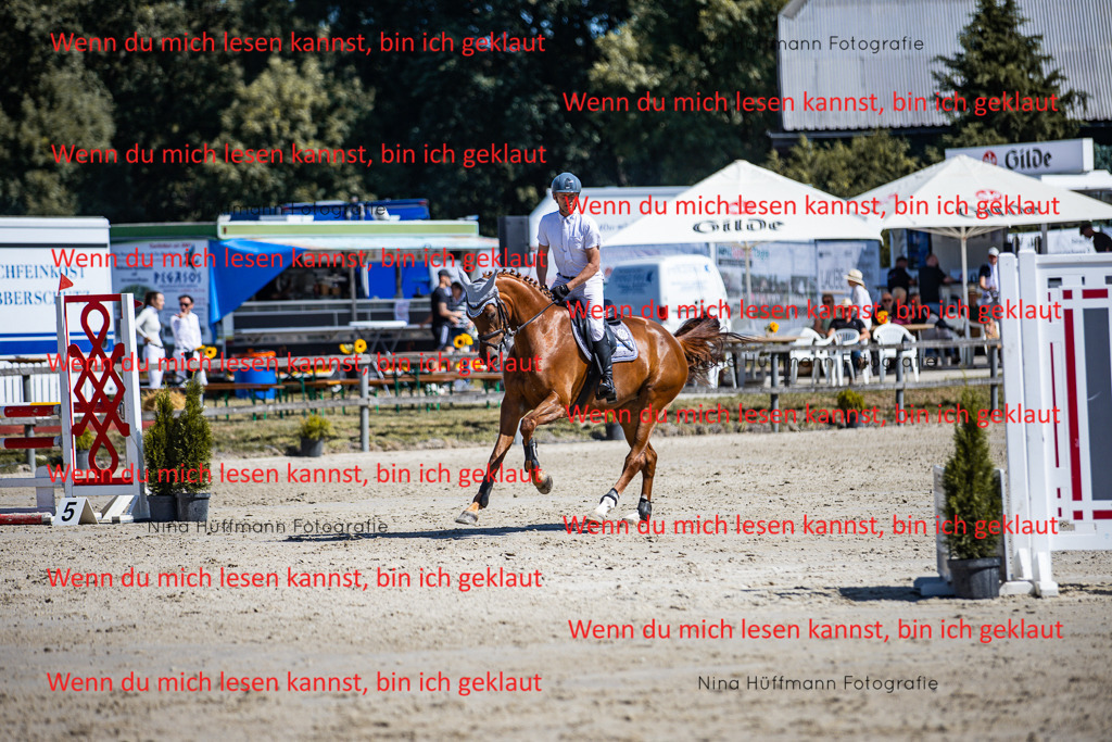 BK1A5501 | Turnierbilder Turnierfotos Nina Hüffmann Turnierfotografie Pferdefotografie Tierzeichnung Haustierzeichnung Pferdezeichnung Hundezeichnung Videograf  - Realisiert mit Pictrs.com