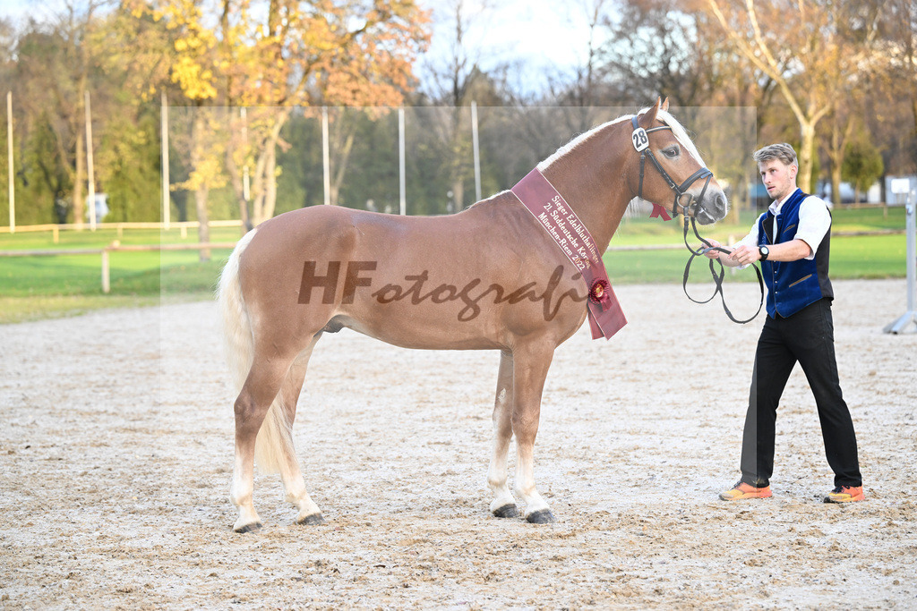 Kat-Nr. 28 Napoleon v. Nakuri_Lechner_60221850 | hf-fotografie - Realisiert mit Pictrs.com