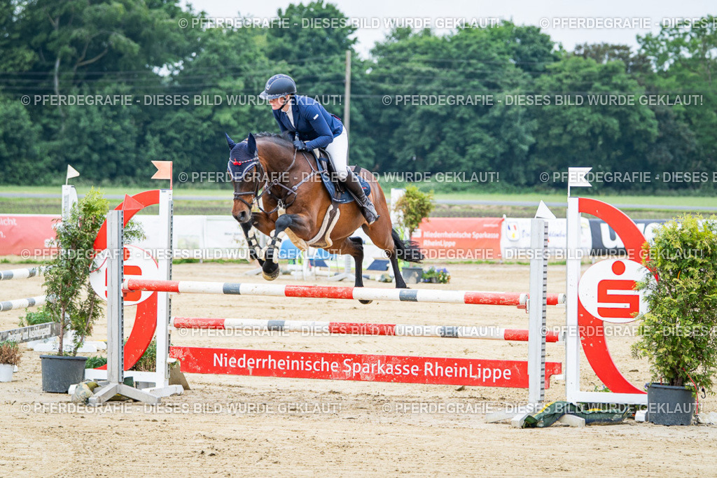 DSC03318 | Pferdegrafie