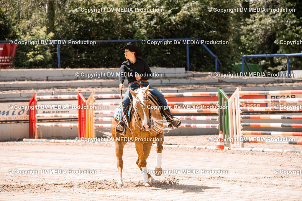 ZS3_0043 | dv-media-shop - Realisiert mit Pictrs.com