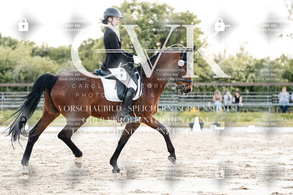 CK909828 | Turnierfotografie Pferdefotografie Trier Rheinland-Pfalz Pferdesport Reitsport Tierfotografie Sportfotografie Pferdevideo Pferdevideografie Equestrianvideography equestrianphotography  - Realisiert mit Pictrs.com