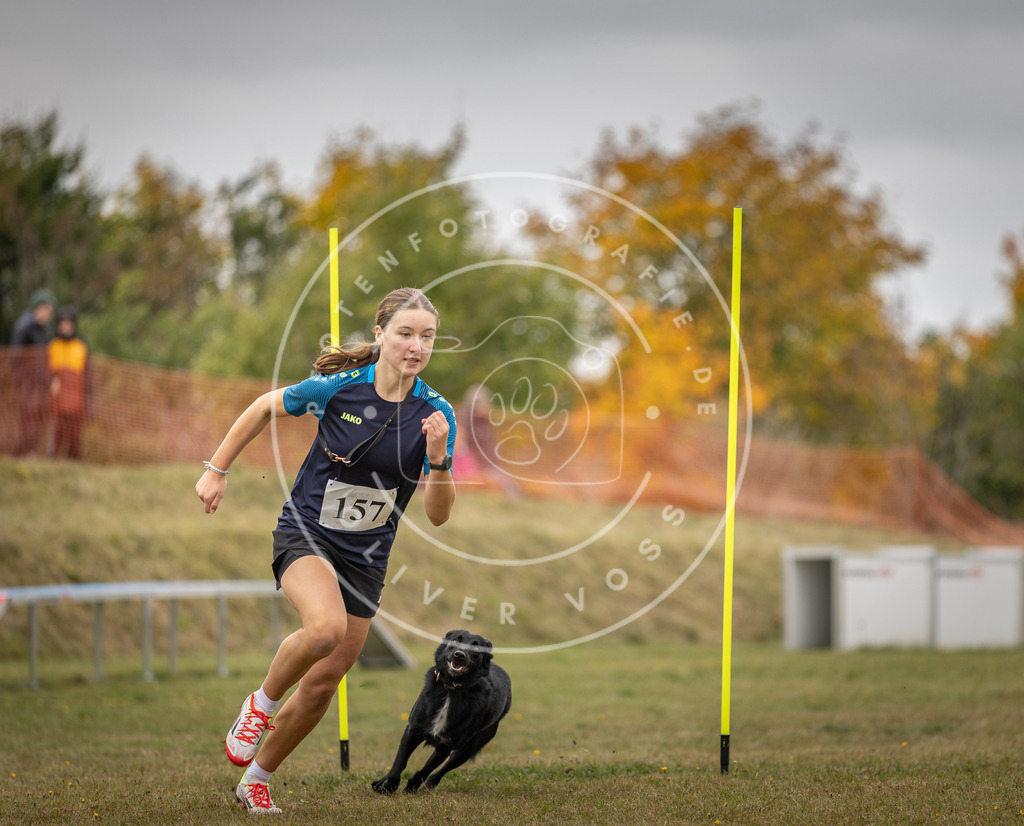 Pfotenfotografie_DV3A5186 | Hundefotografie, Tierfotograf, Pfotenfotografie, Fotoshooting Hund, Hunde Portrait, Hundesport, Hundeportraits, Heideshooting, Hunde, Sportfotograf, Hundefotograf, Turnierhundsport, THS,  - Realisiert mit Pictrs.com