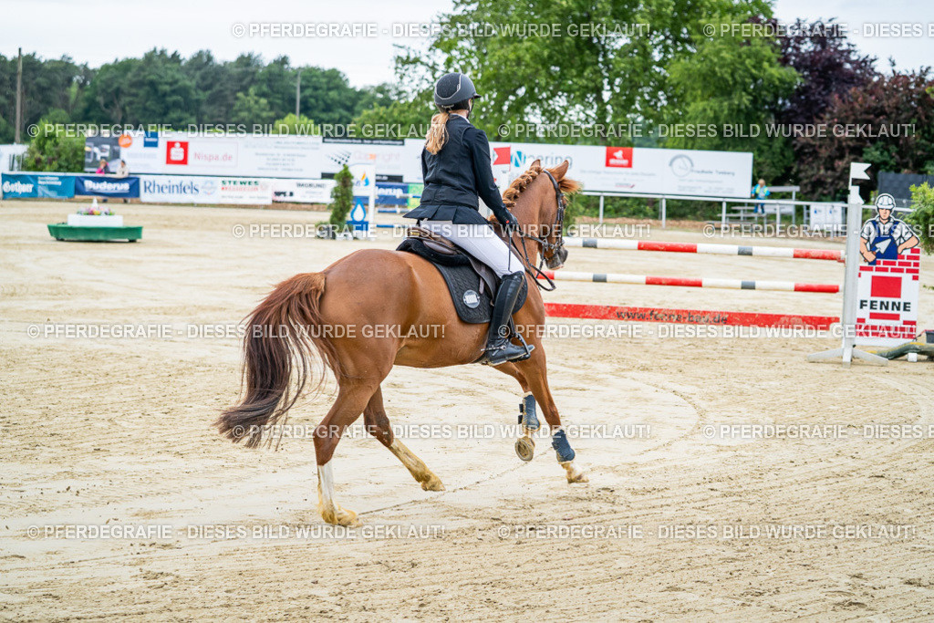 DSC03931 | Pferdegrafie