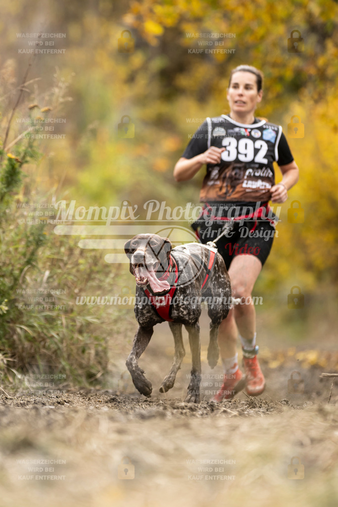 MompixPhotography_ICF_WC_2024_SA_Run_-352 | PayLife