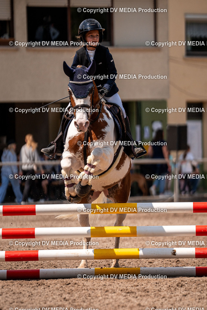 Eppelheim Tag 3-367 | dv-media-shop - Realisiert mit Pictrs.com