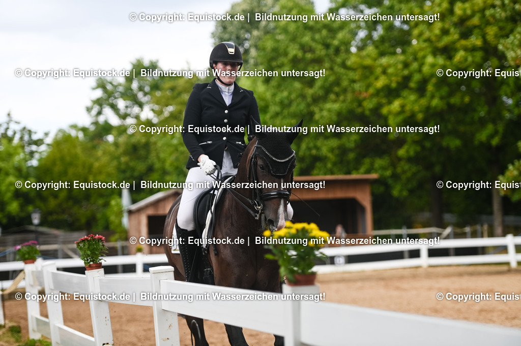 20230716_01_Dressurprüfung Kl.M_0517 | equistock