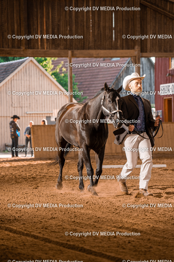 NE100073 | dv-media-shop - Realisiert mit Pictrs.com