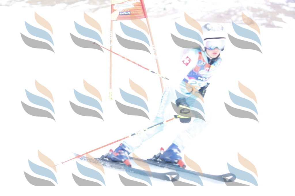 _W1G2951 | holidayphoto