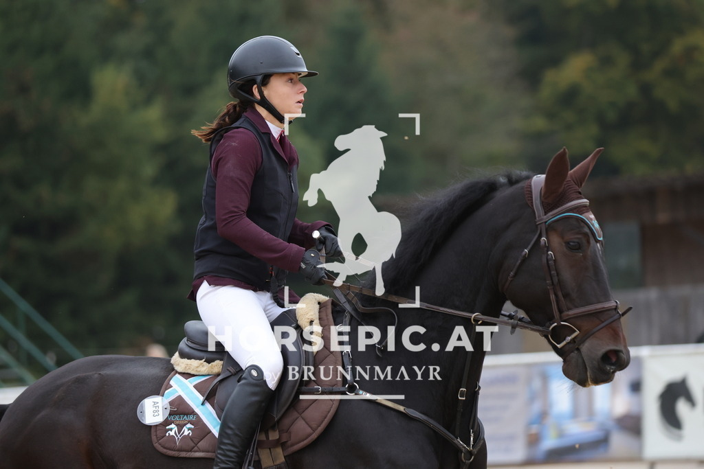 0P6A5974 | Willkommen bei Brunnmayr - Design & Fotografie – Ihrem Spezialisten für Reitturniere und Pferdeveranstaltungen in Oberösterreich, Salzburg und Bayern! Seit über 17 Jahren sind wir leidenschaftlich dabei.