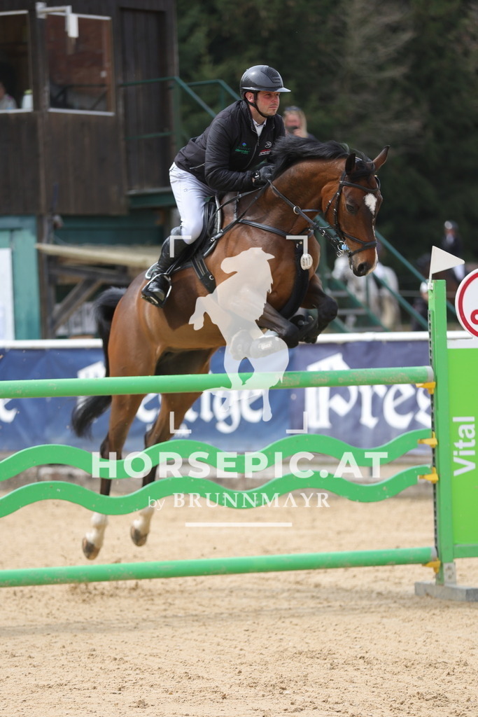 0P6A5984 | Willkommen bei Brunnmayr - Design & Fotografie – Ihrem Spezialisten für Reitturniere und Pferdeveranstaltungen in Oberösterreich, Salzburg und Bayern! Seit über 17 Jahren sind wir leidenschaftlich dabei.