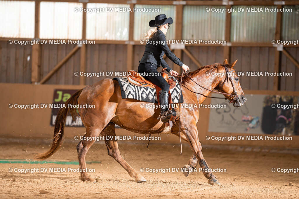 Losheim Tag 1-477 | dv-media-shop - Realisiert mit Pictrs.com