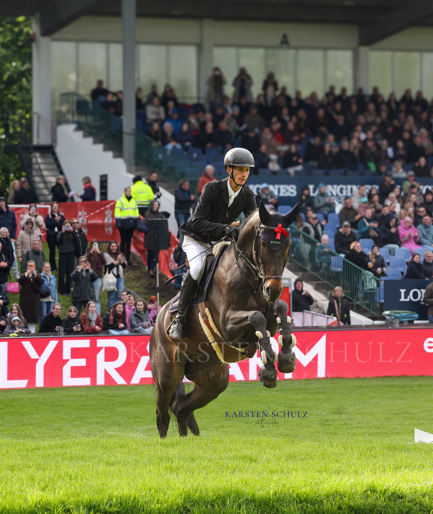 1B3A4220 | Reitsport Reiten
