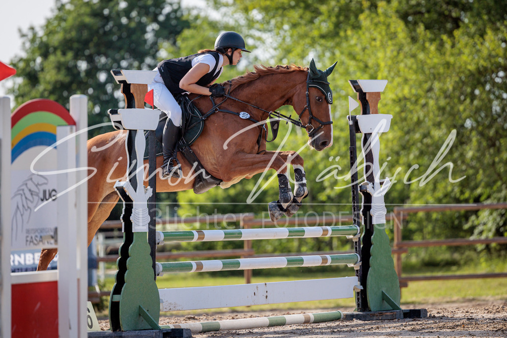 20260529-_3LI0605 | Tierfotografie Pferde, Hunde, Katzen, Haustiere.
Turnierfotografie Reitturniere, Reiten, Springreiten, Dressur in Hanau, dem Main-Kinzig-Kreis und dem Rhein-Main- Gebiet um Frankfurt