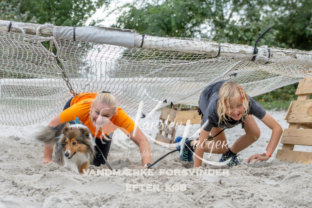 1542_ZZ96662 | kk-dogfotos