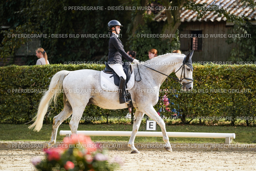 DSC04157 | Pferdegrafie