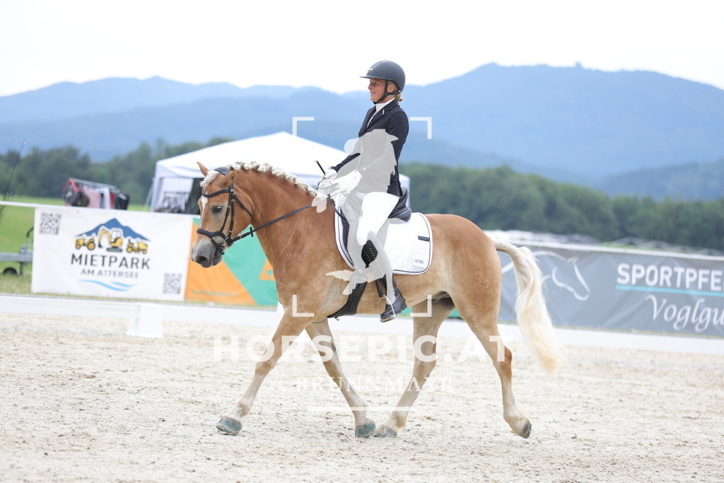 0P6A6819 | Willkommen bei Brunnmayr - Design & Fotografie – Ihrem Spezialisten für Reitturniere und Pferdeveranstaltungen in Oberösterreich, Salzburg und Bayern! Seit über 17 Jahren sind wir leidenschaftlich dabei.