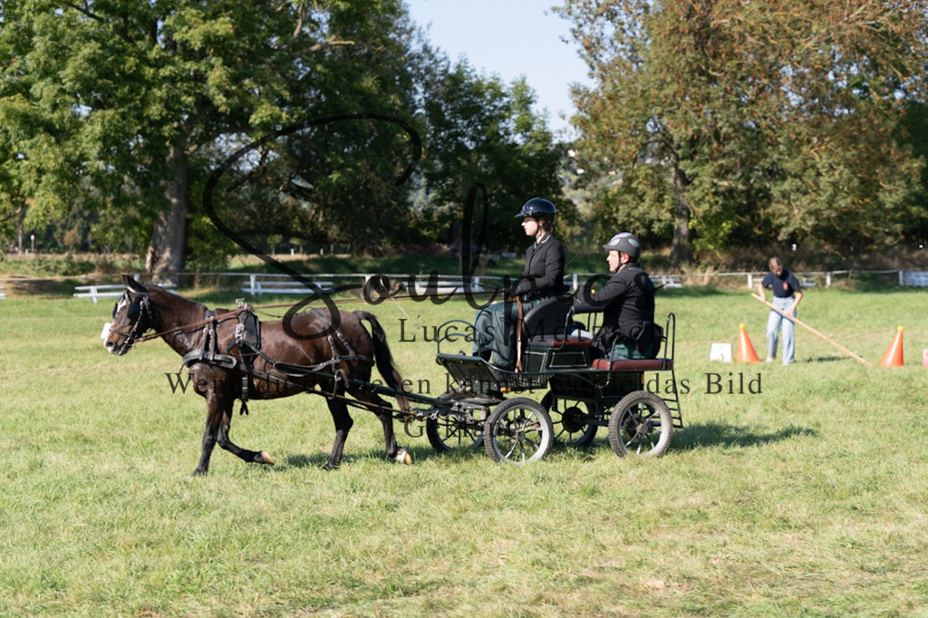 A7V04366 | Pferdefotograf