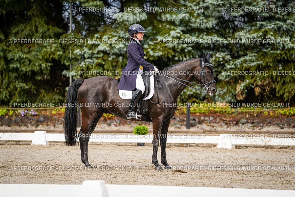 DSC09815 | Pferdegrafie